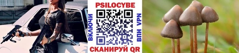 Псилоцибиновые грибы Psilocybine cubensis  Купить закладки  Монино 